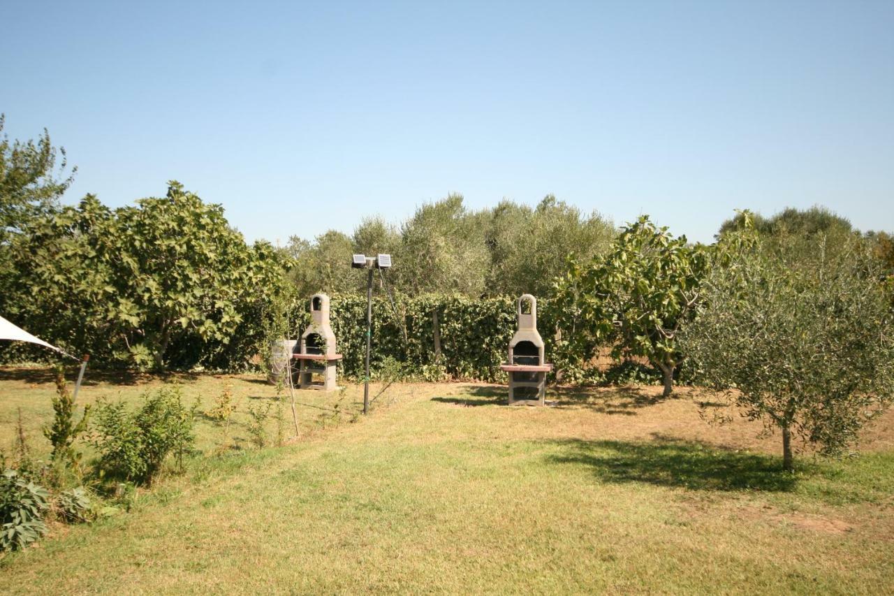 Due Casette Con Piscina Castagneto Carducci Dış mekan fotoğraf