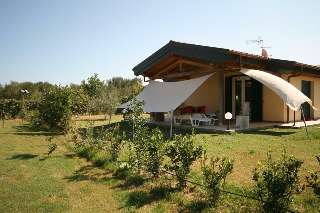 Due Casette Con Piscina Castagneto Carducci Dış mekan fotoğraf